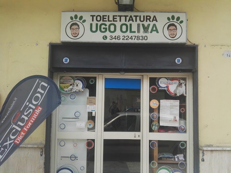 Toelettatura Ugo Oliva - Foto 3