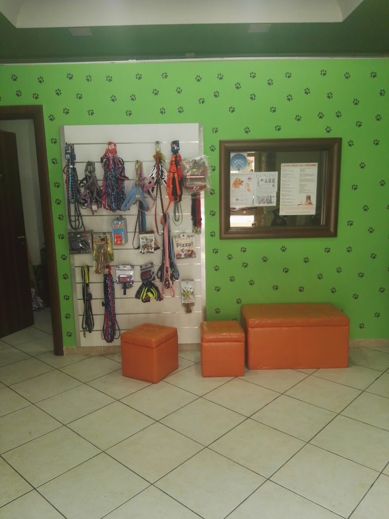 Toelettatura Ugo Oliva - Foto 4