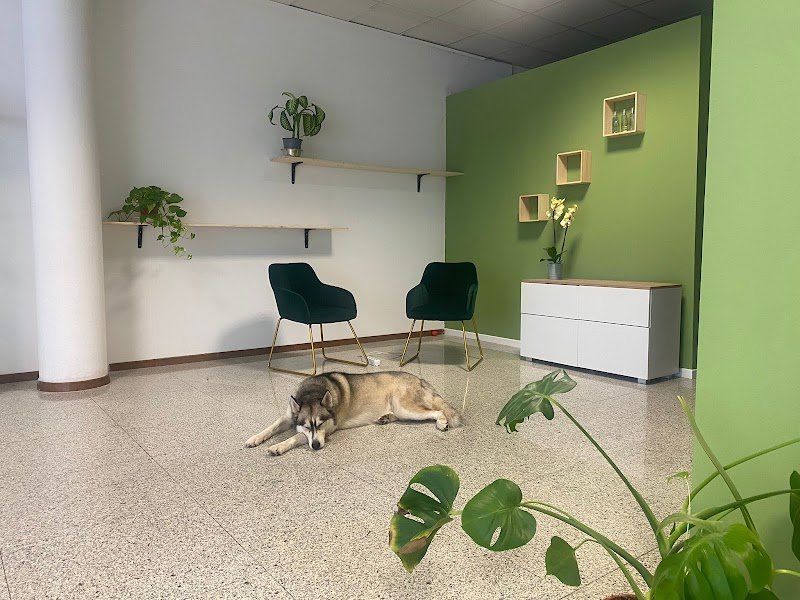 Toelettatura “UN BAGNO DI COCCOLE “ - Foto 1