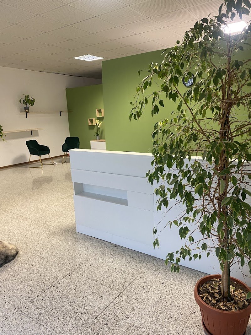 Toelettatura “UN BAGNO DI COCCOLE “ - Foto 5