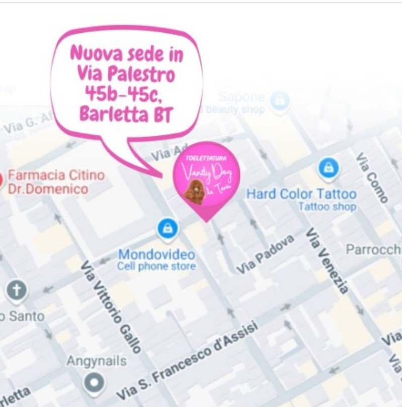 Toelettatura Vanity Dog - Foto 6