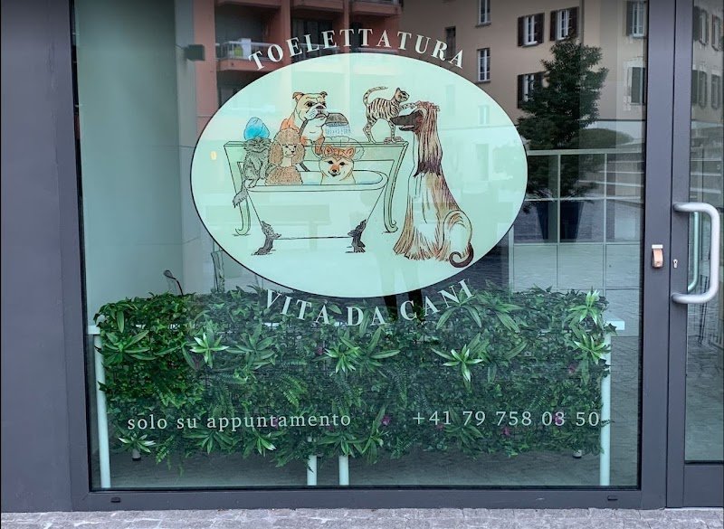 Toelettatura Vita da cani - Foto 1