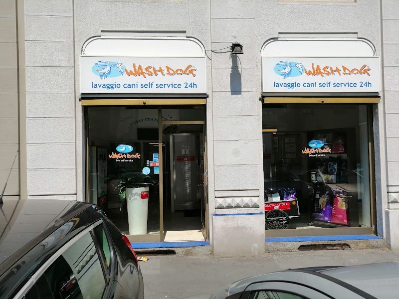 Toelettatura Wash Dog Milano Porta Vittoria - Foto 2