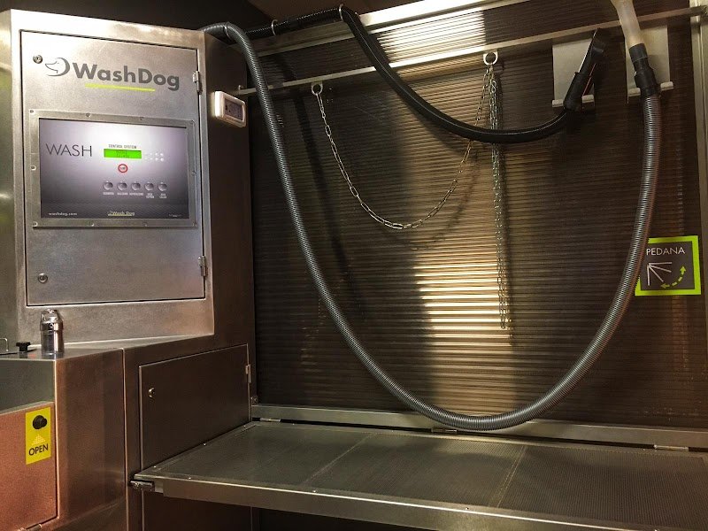 Toelettatura Wash Dog Novara - Foto 1