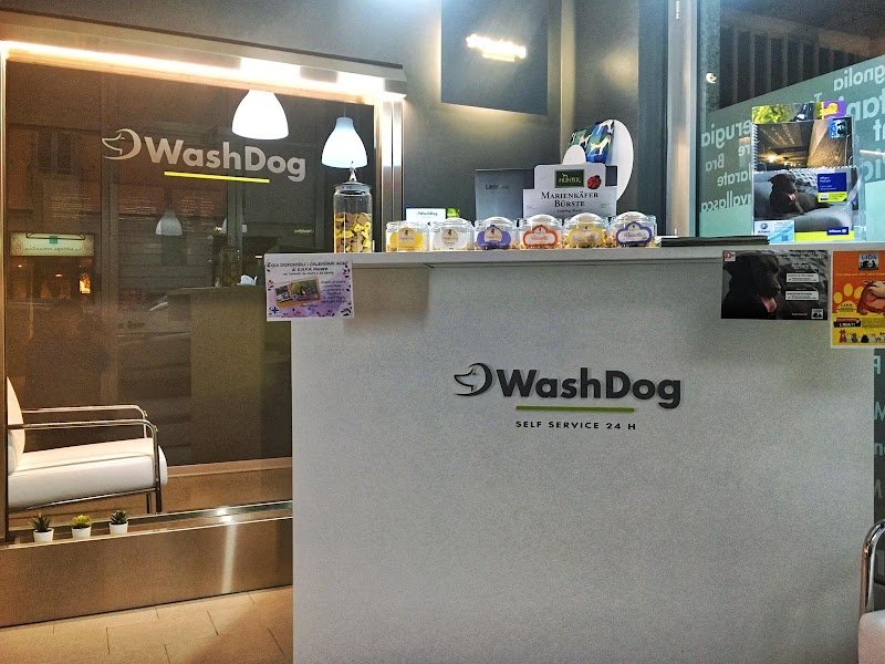 Toelettatura Wash Dog Novara - Foto 5