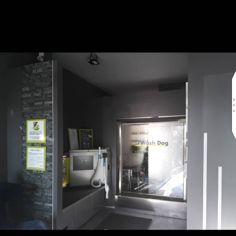 Toelettatura Wash Dog Ravenna/Cervia , lavaggio self-service e servizio a domicilio(Dog-taxi) - Foto 1