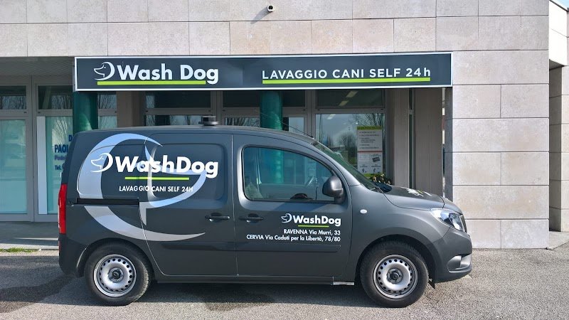 Toelettatura Wash Dog Ravenna/Cervia , lavaggio self-service e servizio a domicilio(Dog-taxi) - Foto 2