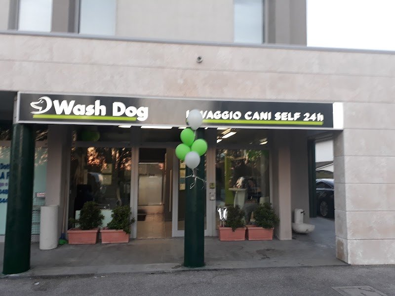 Toelettatura Wash Dog Ravenna/Cervia , lavaggio self-service e servizio a domicilio(Dog-taxi) - Foto 3