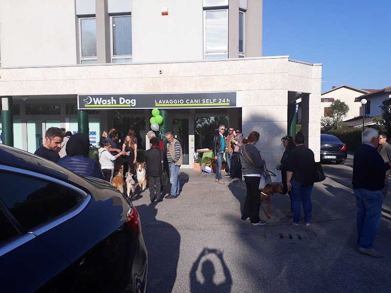 Toelettatura Wash Dog Ravenna/Cervia , lavaggio self-service e servizio a domicilio(Dog-taxi) - Foto 4