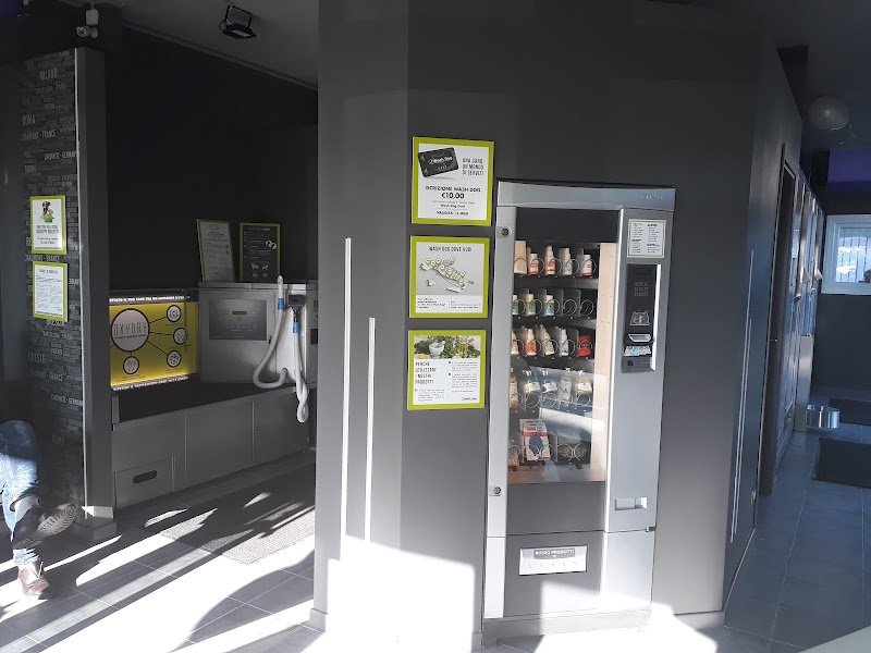 Toelettatura Wash Dog Ravenna/Cervia , lavaggio self-service e servizio a domicilio(Dog-taxi) - Foto 5