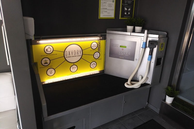 Toelettatura Wash Dog Ravenna/Cervia , lavaggio self-service e servizio a domicilio(Dog-taxi) - Foto 6