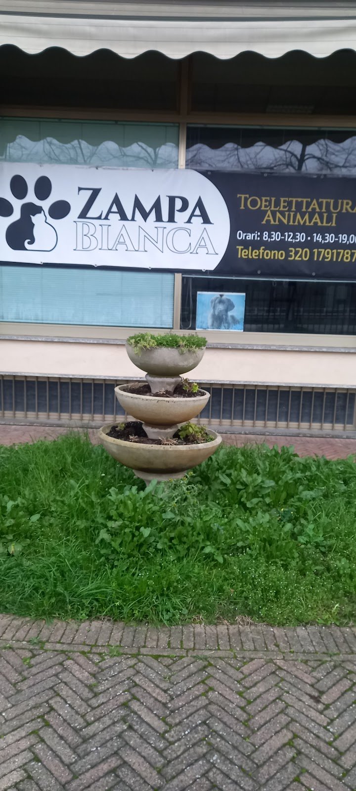 Toelettatura Zampa Bianca - Foto 4