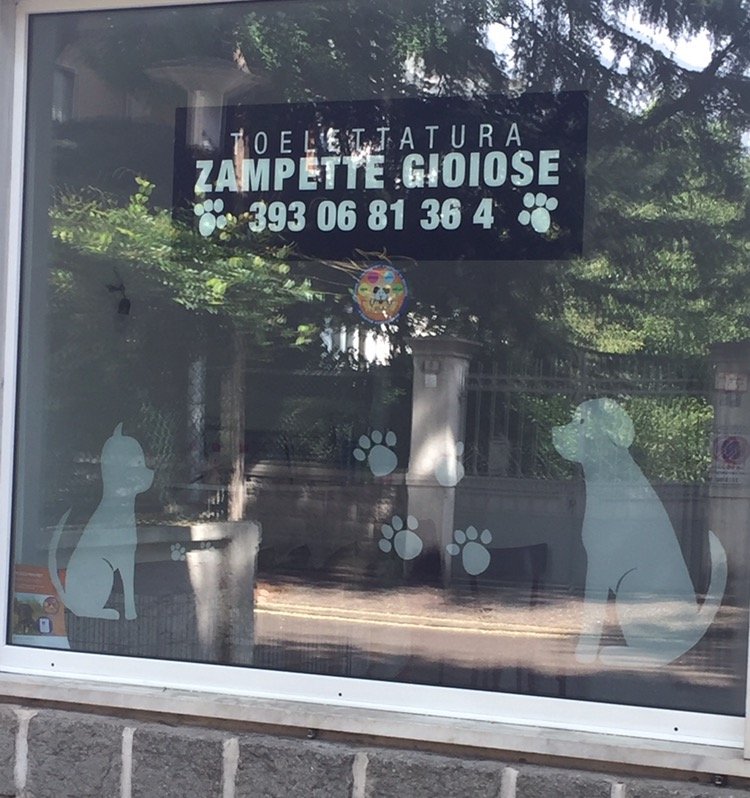 Toelettatura Zampette Gioiose - Foto 5