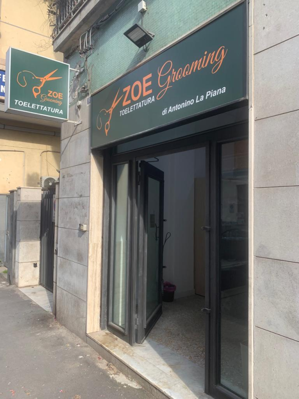 Toelettatura Zoe Grooming Antonino La Piana - Foto 5