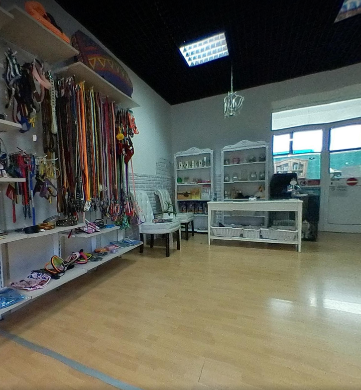 Toelette MaremmaCane Grosseto - Foto 1