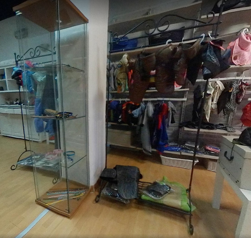 Toelette MaremmaCane Grosseto - Foto 6