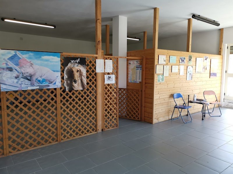 Toelette Paradise - Foto 2