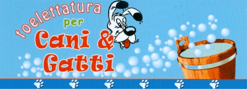 Toelette Paradise - Foto 5