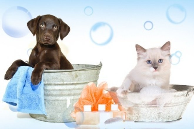 Toelette Paradise - Foto 6