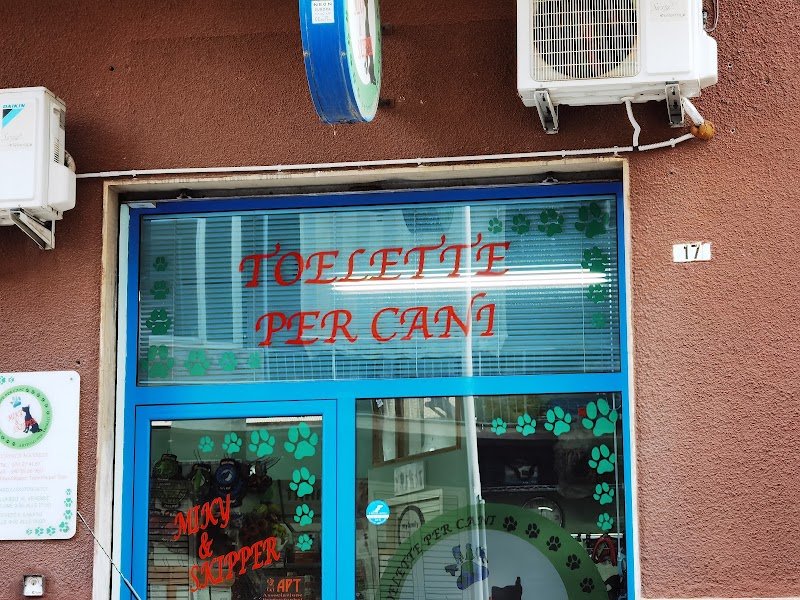 Toelette Per Cani - Foto 1