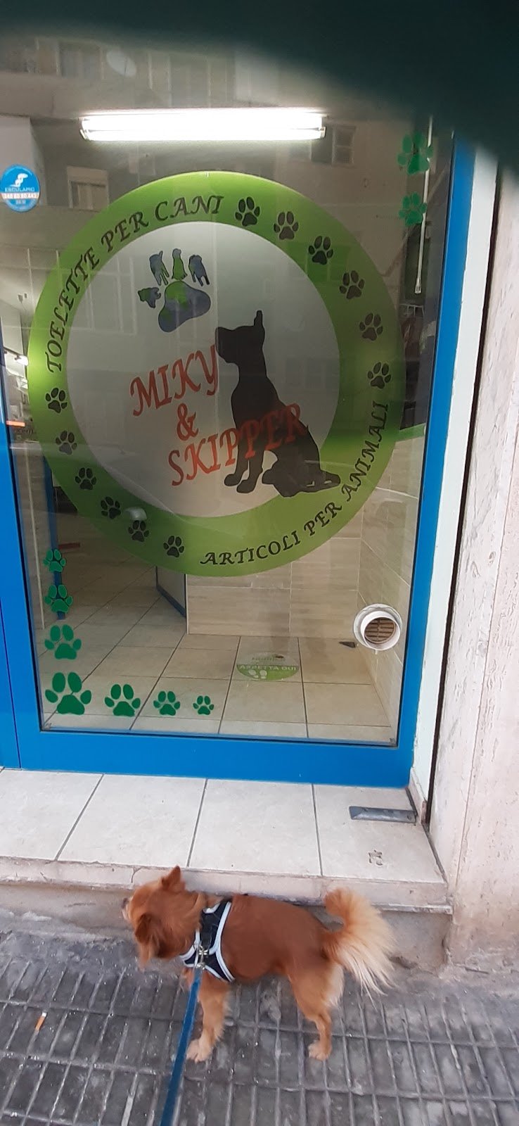 Toelette Per Cani - Foto 5