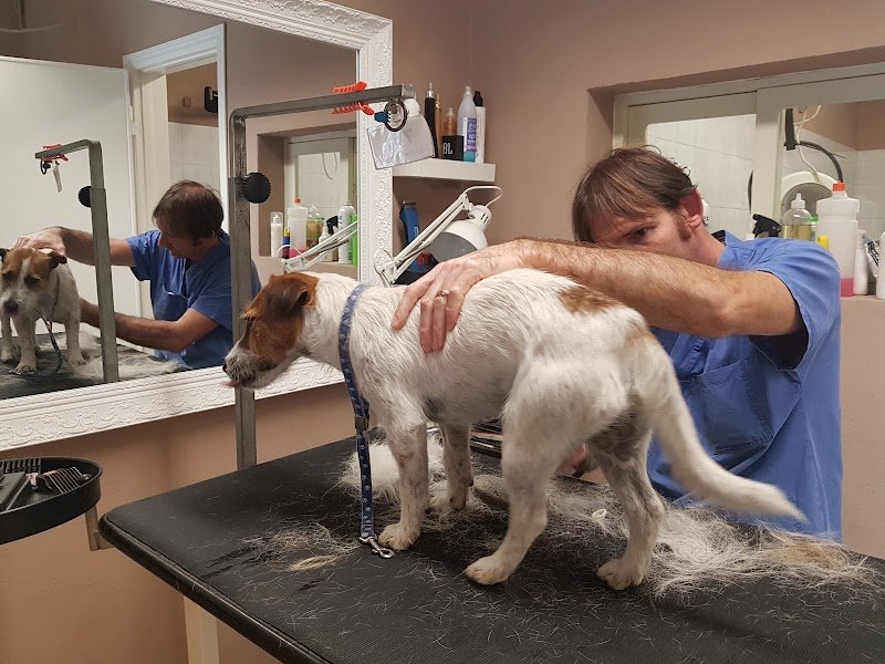 Toelette Pluto di Simi Cristiano - Foto 1