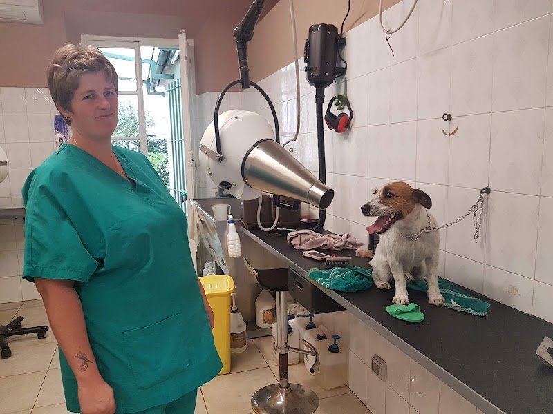 Toelette Pluto di Simi Cristiano - Foto 4