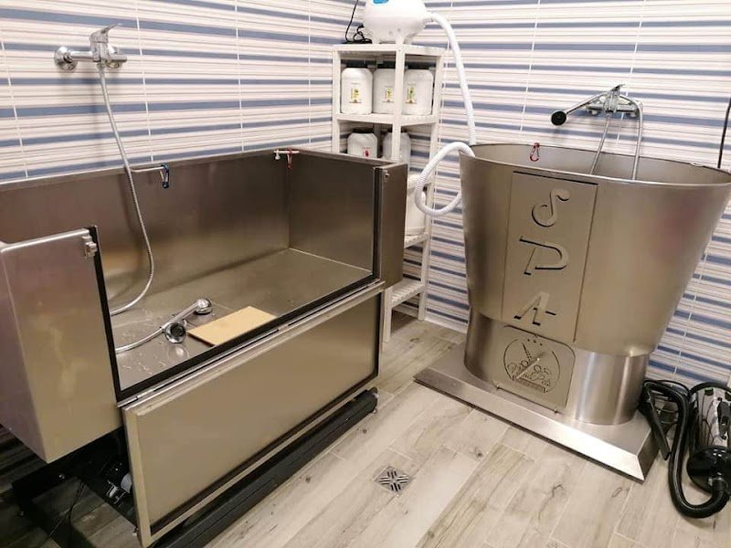 Toeletteria San Giovanni Roma - Toeletta per cani e gatti - Taglio, Lavaggio - Iv San Bernard - Foto 1