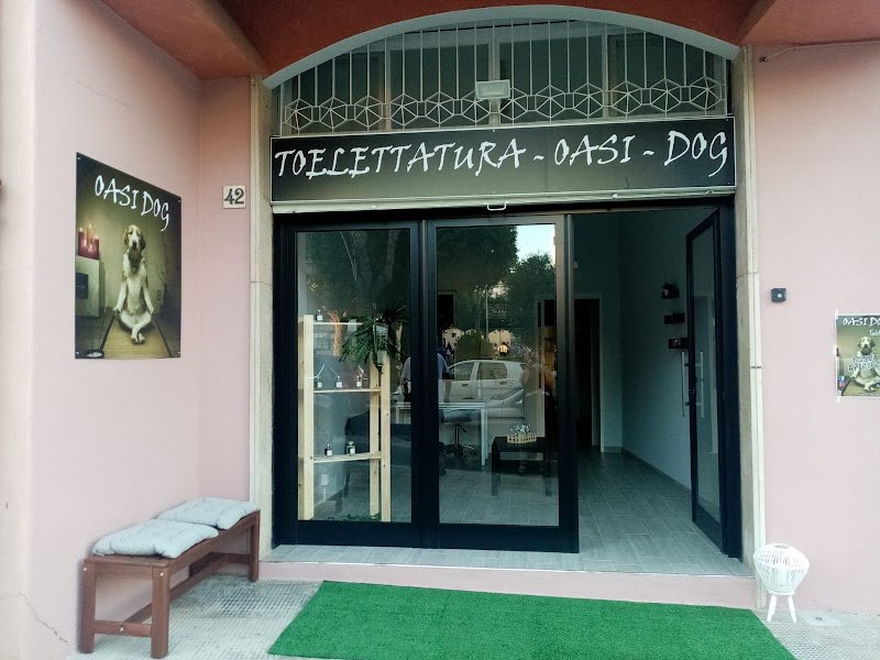 Toelettura Oasi dog - Foto 1