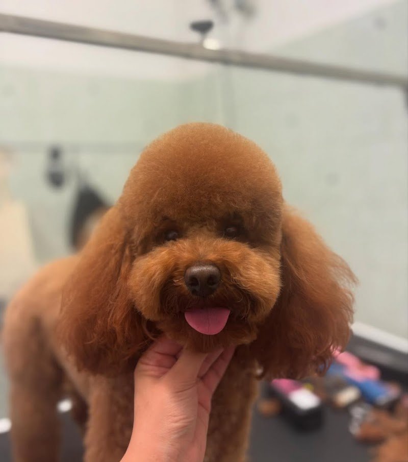 Togo beauty salon - Foto 1