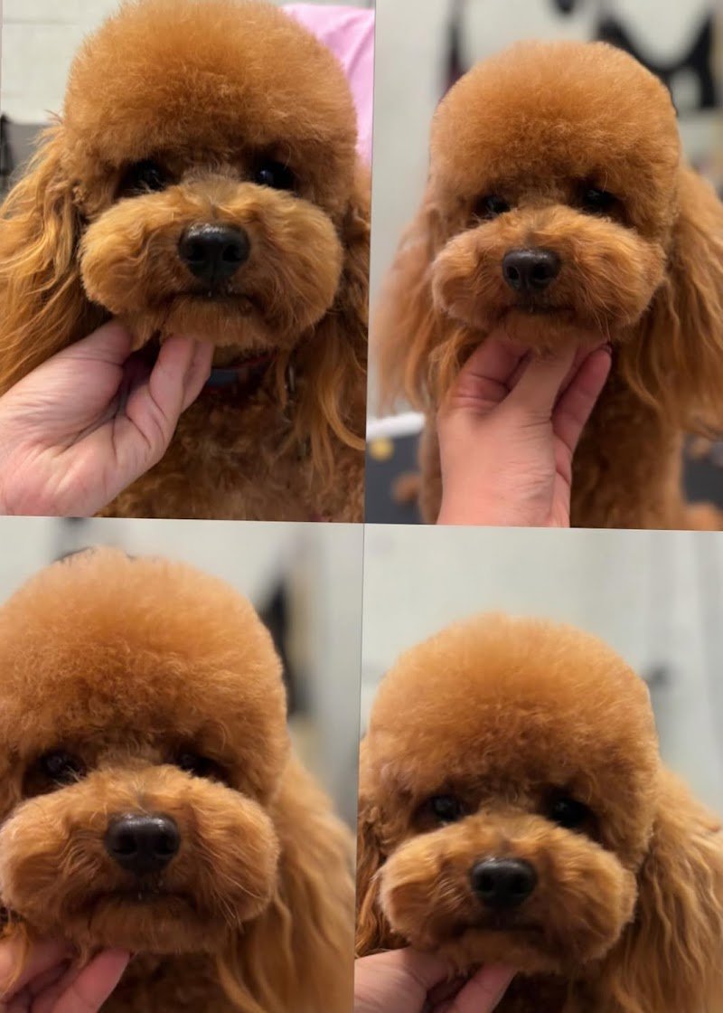 Togo beauty salon - Foto 2