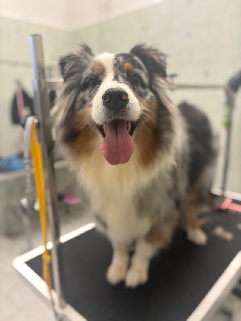 Togo beauty salon - Foto 3