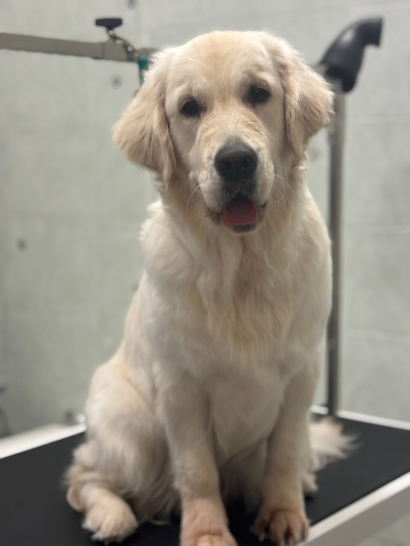 Togo beauty salon - Foto 4