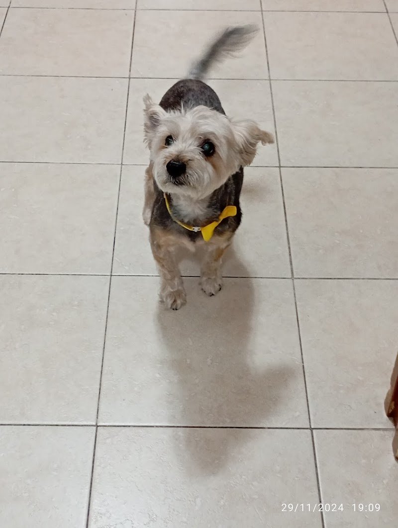 Togo beauty salon - Foto 5