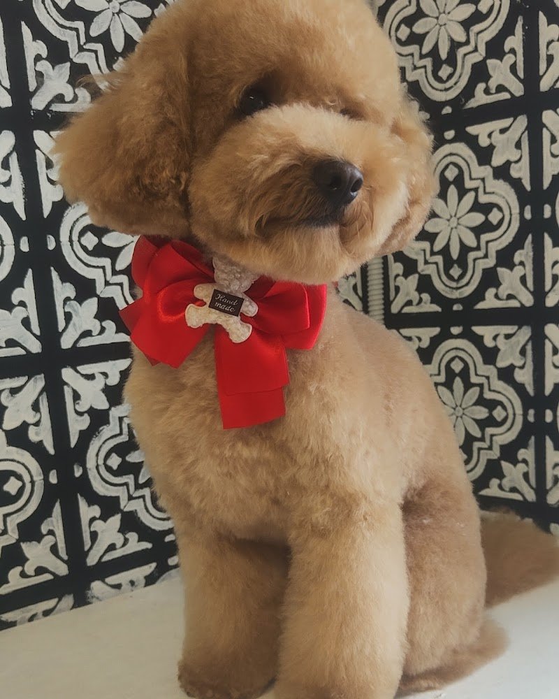 Toilette coi fiocchi - Foto 2