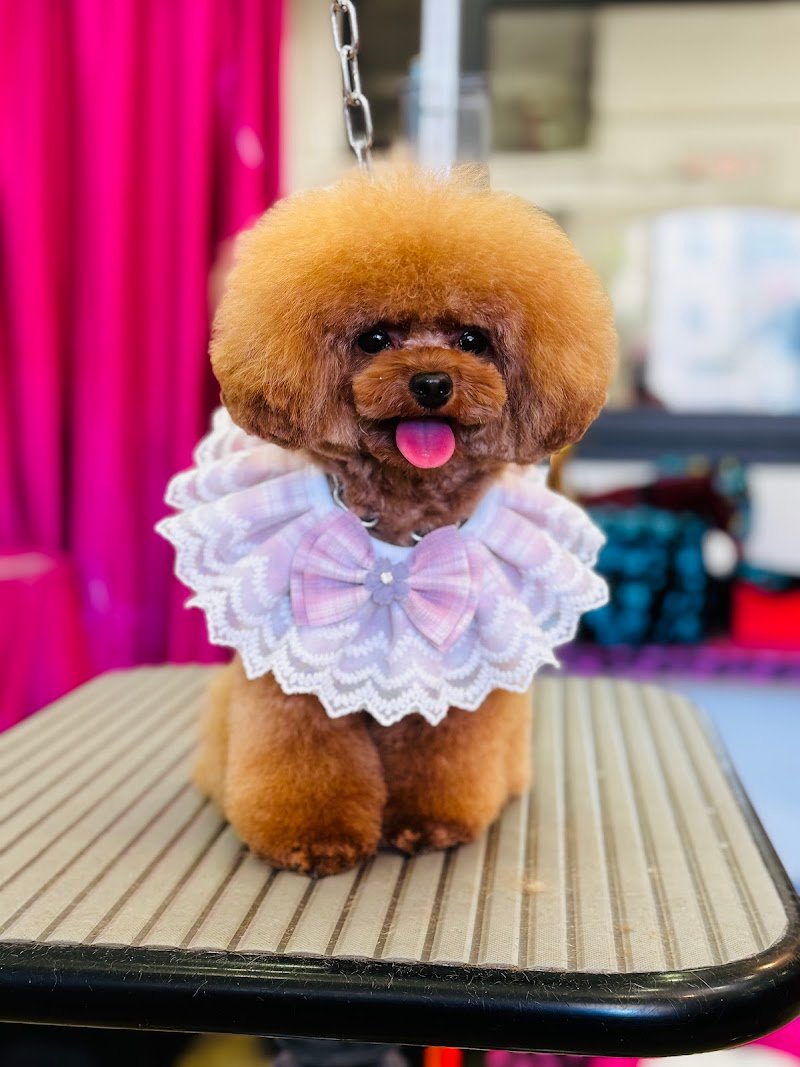 Toilette Niagara Di Chelli Simona - Foto 2