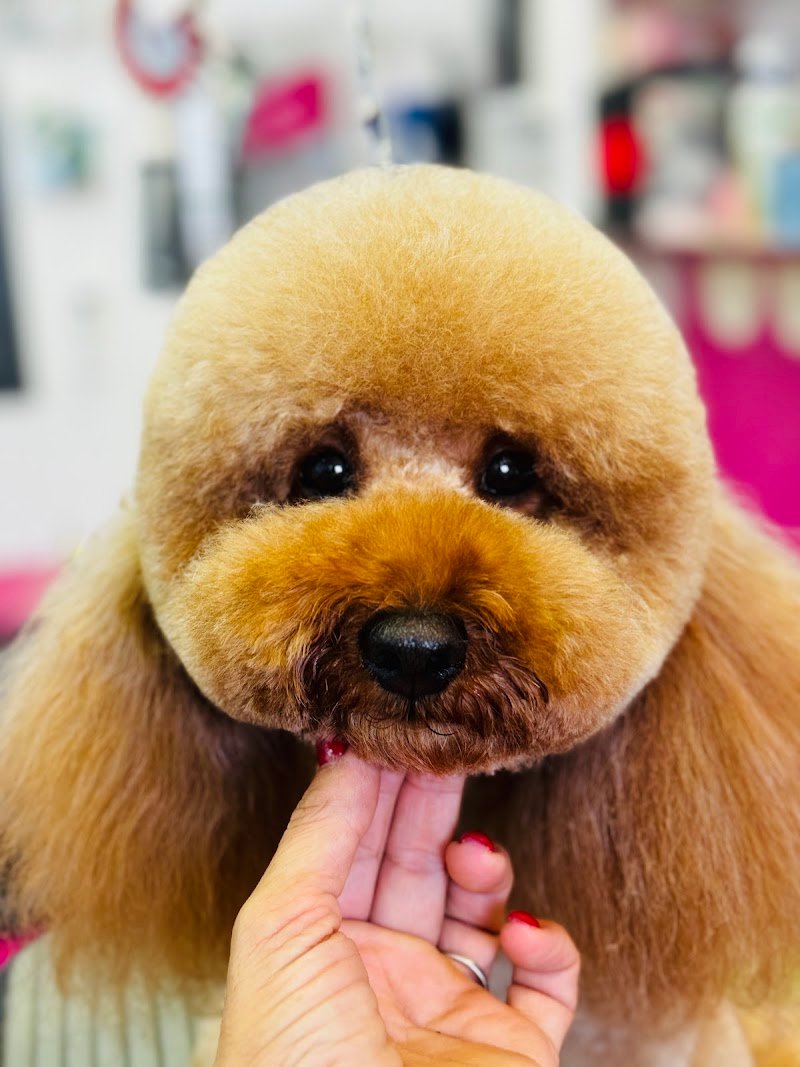 Toilette Niagara Di Chelli Simona - Foto 3