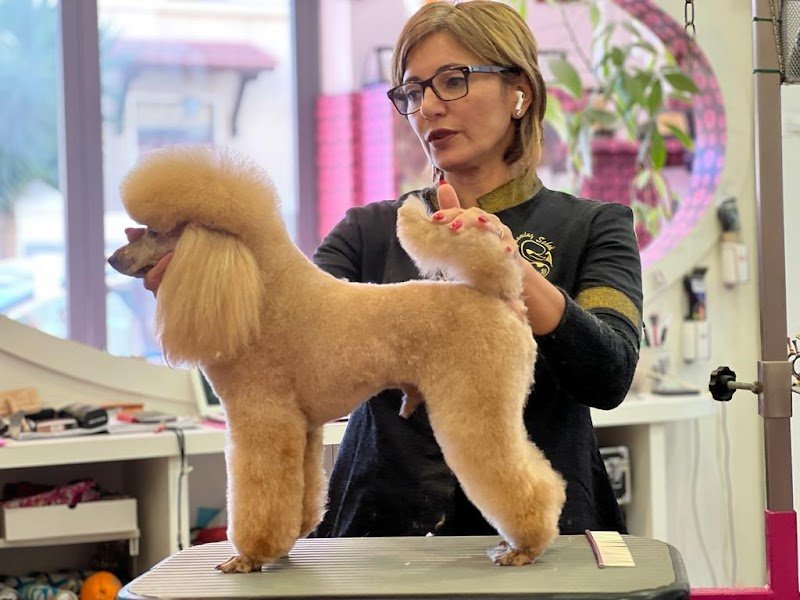 Toilette Niagara Di Chelli Simona - Foto 4