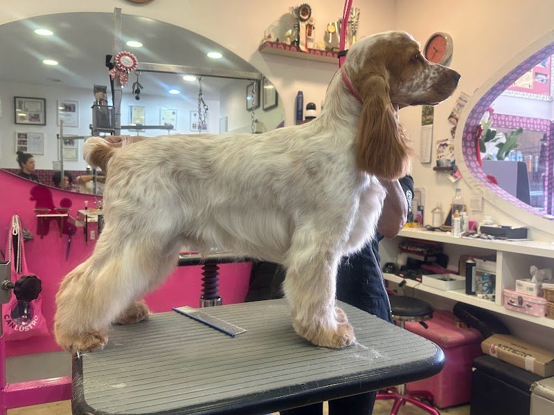 Toilette Niagara Di Chelli Simona - Foto 5