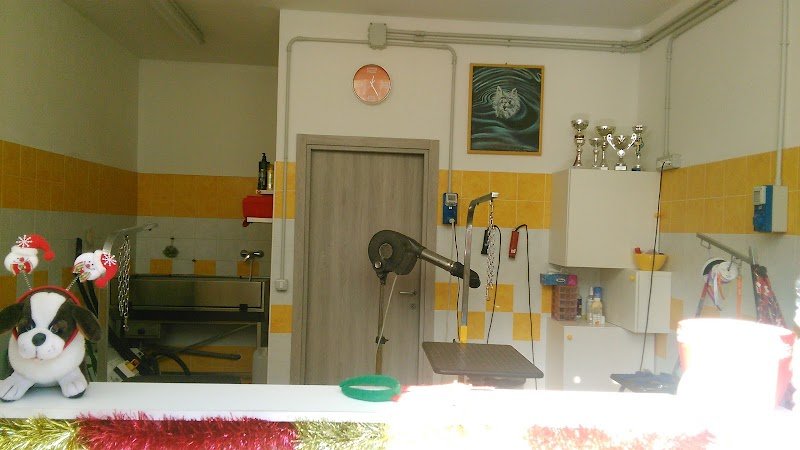 Toilette Pempelo - Foto 4