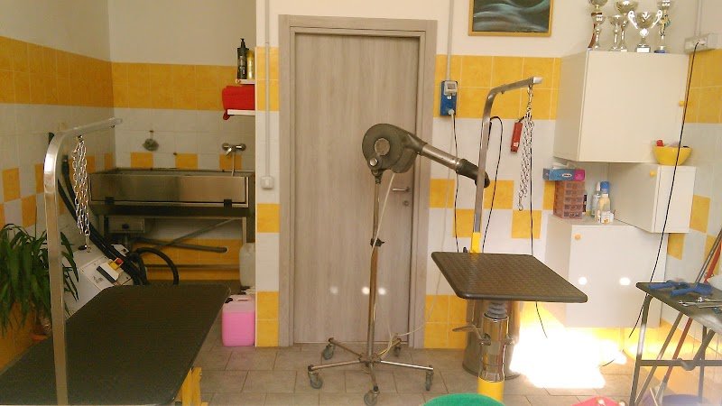 Toilette Pempelo - Foto 6