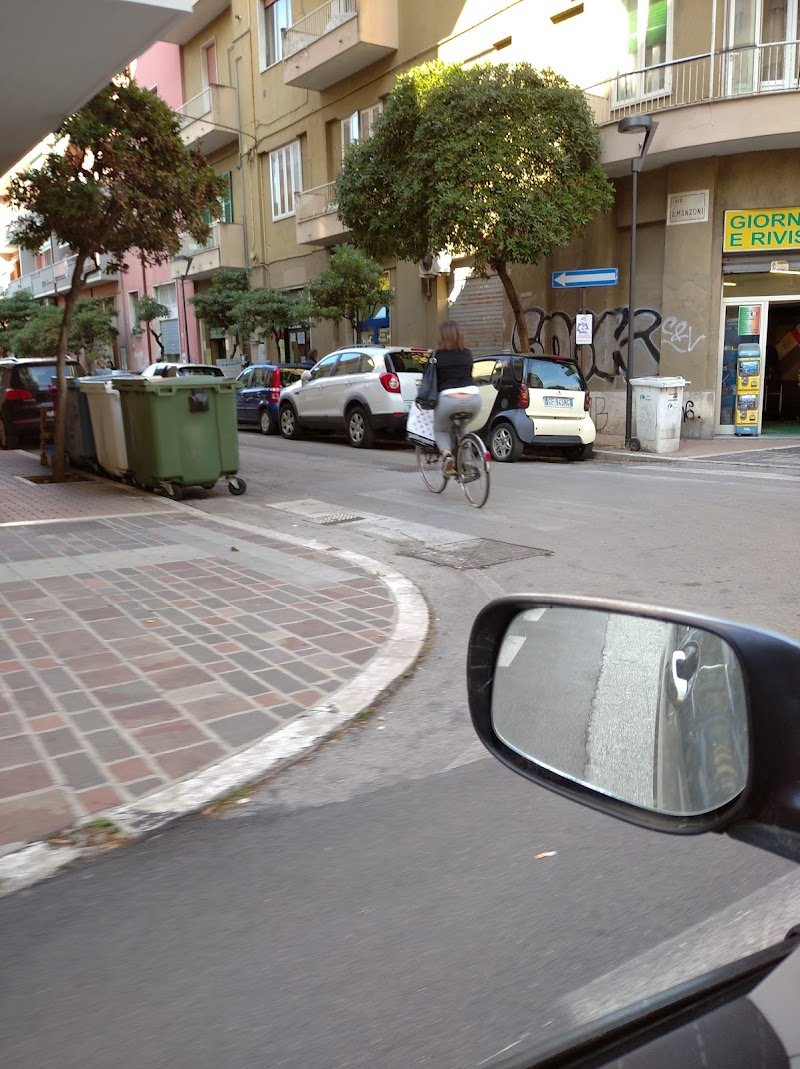 Toilette per Cani da Santina - Foto 3