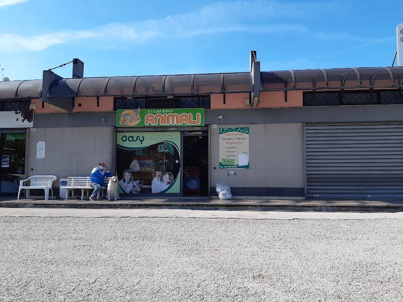 Tom And Jerry Di Urgolo Rosalba - Foto 4