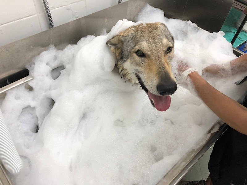 Tom And Jerry - Foto 3