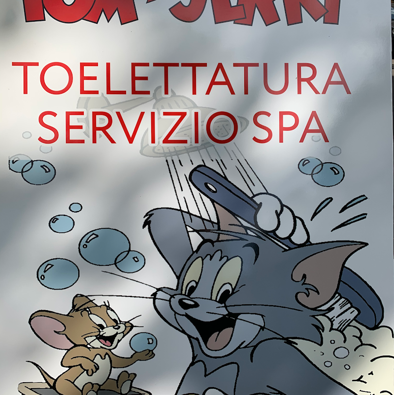 Tom And Jerry - Foto 4