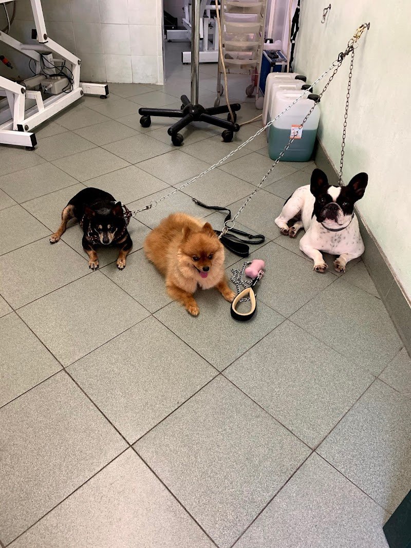 Tom And Jerry - Foto 5