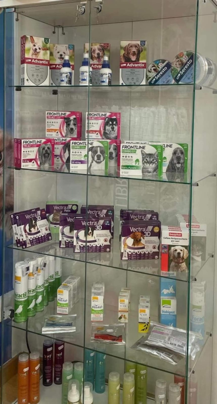 Tom and Jerry Pet Shop - Foto 1