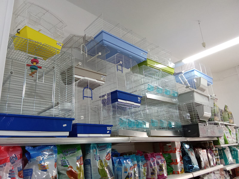 Tom and Jerry Pet Shop - Foto 4