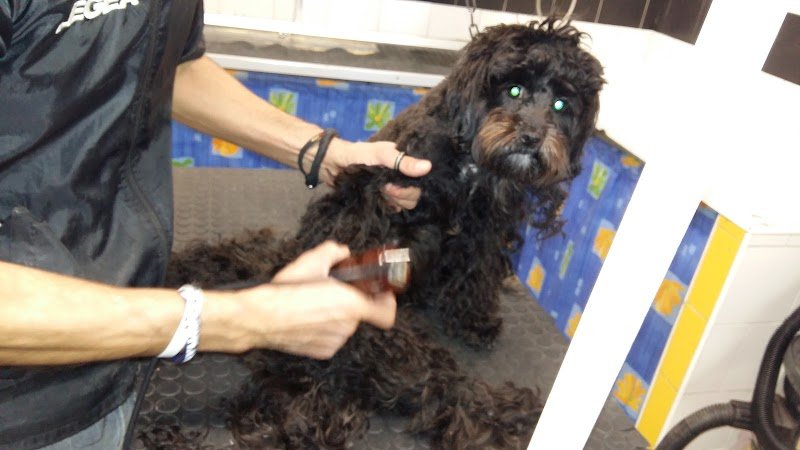 Tom E Jerry - Foto 2