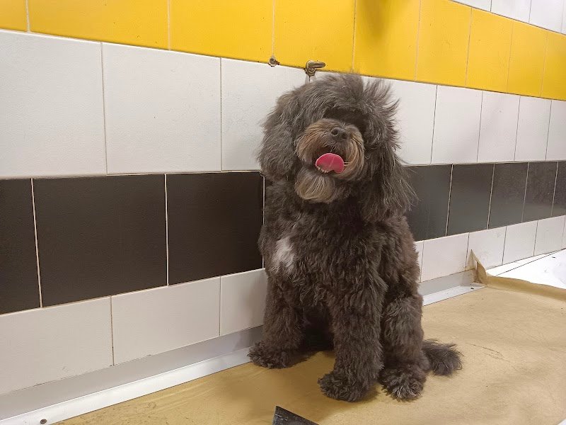 Tom E Jerry - Foto 4